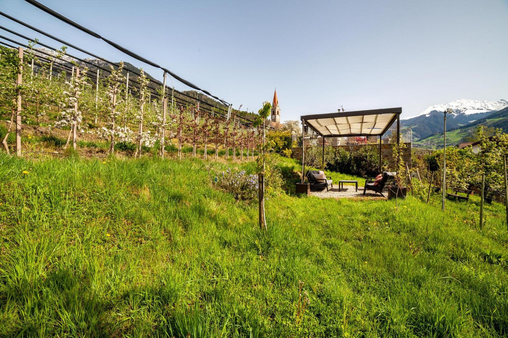Gasserhof Ferienwohnung Morgenduft Caines ภายนอก รูปภาพ